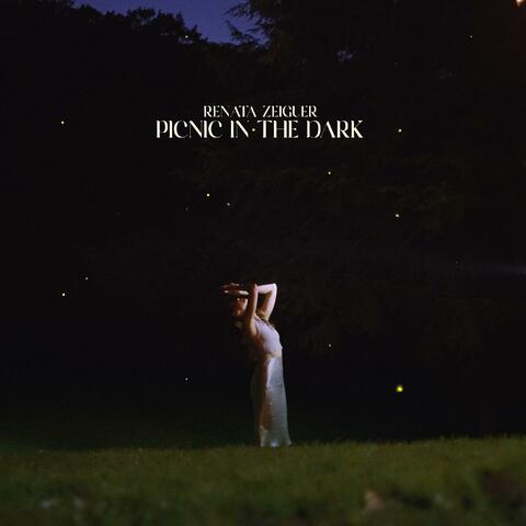 Picnic in the Dark