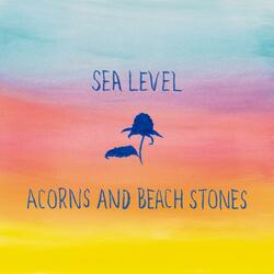 Acorns and Beach Stones