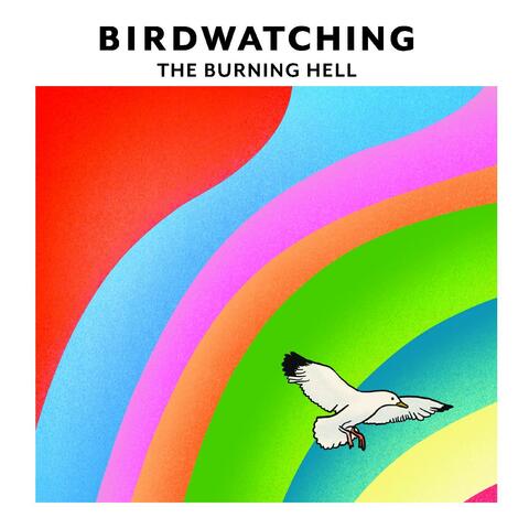 Birdwatching