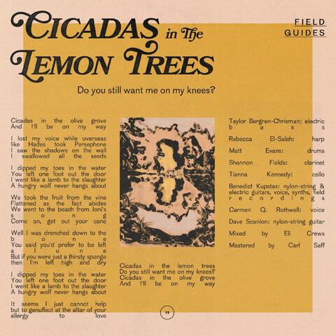 Cicadas in the Lemon Trees