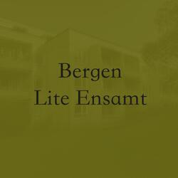 Lite Ensamt