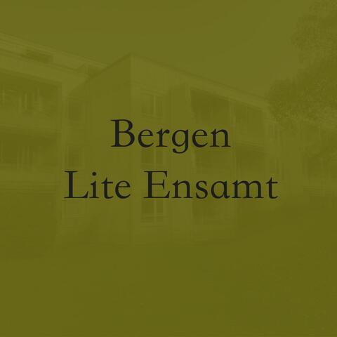 Lite Ensamt