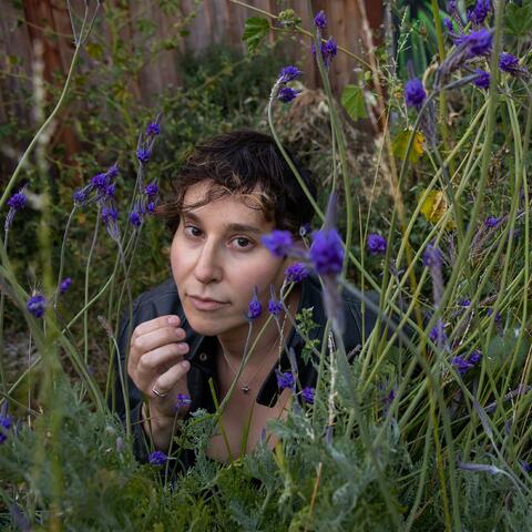 Where the Lavender Grows
