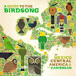 Loro Cabeza Amarilla