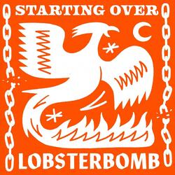Starting Over