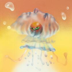 Jellyfish