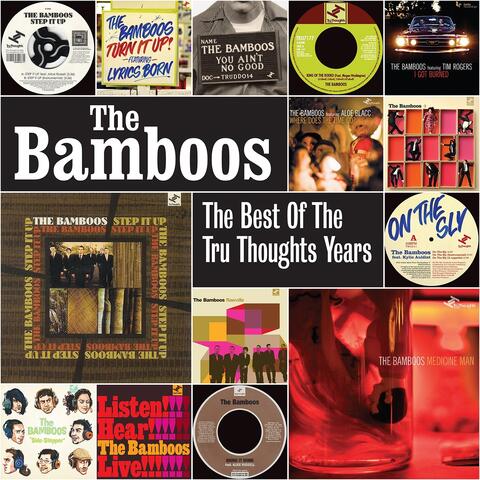 The Bamboos & Ty