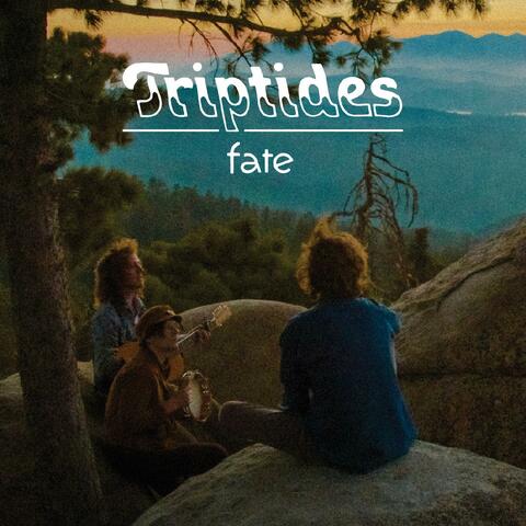 Fate