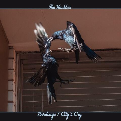 Birdcage/City's Cry