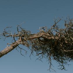 Don't Feed The Birds