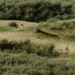 Don't Feed The Birds