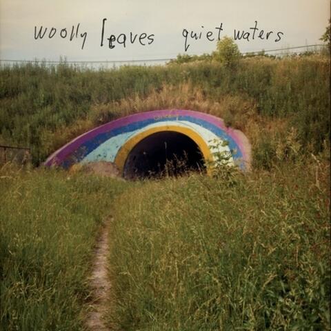 Woolly Leaves