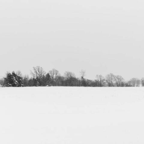 One Winter's Day