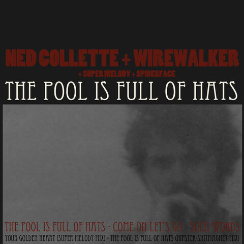 The Pool Is Full OF Hats