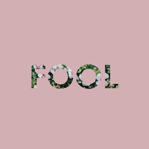 Fool