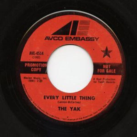 Every Little Thing / Eric Cleveland