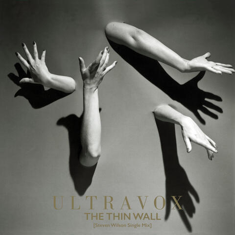 The Thin Wall (Steven Wilson Single Mix)