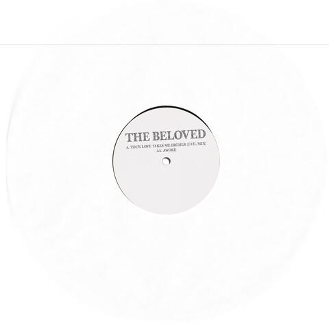 Your Love Takes Me Higher (Evil Mix) / Awoke