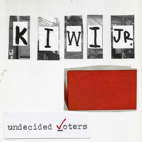 Undecided Voters