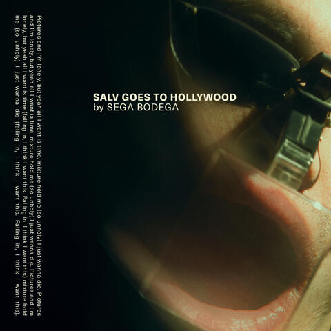 Salv Goes To Hollywood