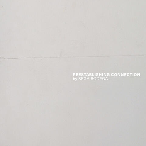 Reestablishing Connection [2020]