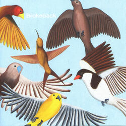 The Wind-up Bird