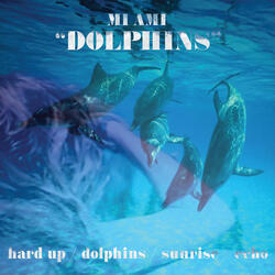 Dolphins