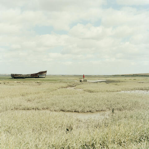 The Harbour