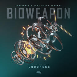 Loudness