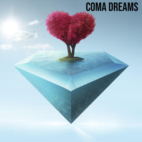 Coma Dreams