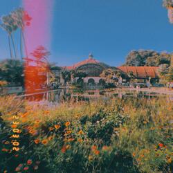 Prettier Than Flowers