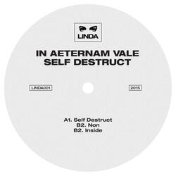 Self Destruct