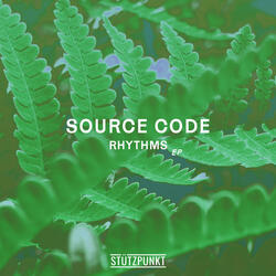 Sunrays In The Jungle