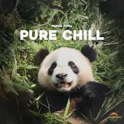 Chill Vibes Only