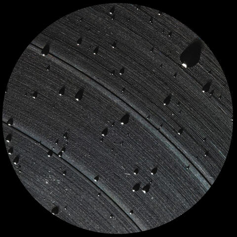 Black System