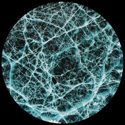 Indigo System #4