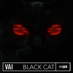 Black Cat