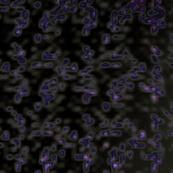 Three-Brained Beings