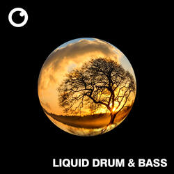 Liquid Drum & Bass Sessions #57