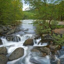 Tranquil Arcadia