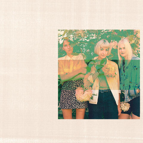 I Cannot Believe (Roe Deers Remix)