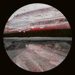 200 camels and a hot desert