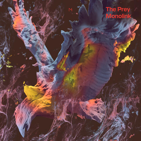 The Prey
