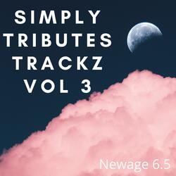 STEP BACK (Tribute Version Originally Performed By GOT THE BEAT)