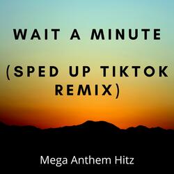 Wait A Minute (Sped Up TikTok Remix)