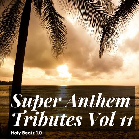 Super Anthem Tributes Vol 11