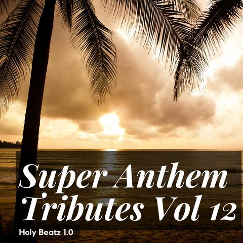 Super Anthem Tributes Vol 12