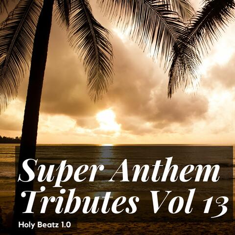 Super Anthem Tributes Vol 13