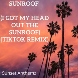 Sunroof (i got my head out the sunroof) [TikTok Remix)