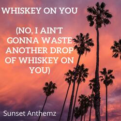Whiskey On You (No, I ain't gonna waste another drop of whiskey on you)
